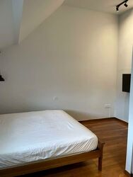 Loft @ Rangoon (D8), Apartment #577445711